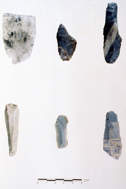 Biface fragment, chipped burin, graver and microblades (Hood).