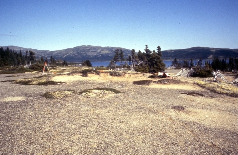 Looking over Attu's Point Localities 3 & 6 excavation area 1993 (Hood)