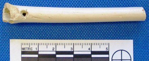 Pipe stem whistle (?) from Ferryland. (Gaulton)