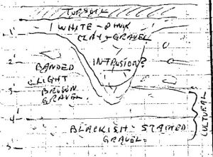 Rough profile sketch of one of the burials from MacLeod's field notebook (MacLeod 1966).